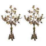 Pair of Guilded Neo-Classical Tole Candelabra