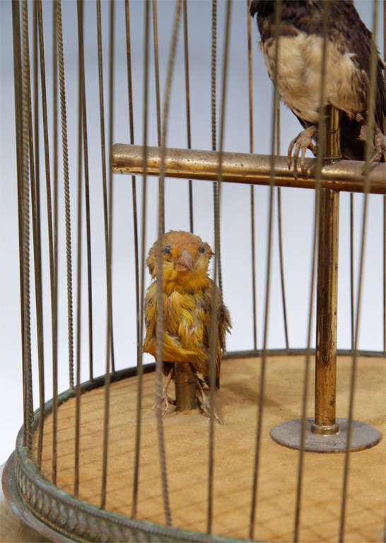 Antique 19th Century French Gilt Bronze Musical Birdcage 4