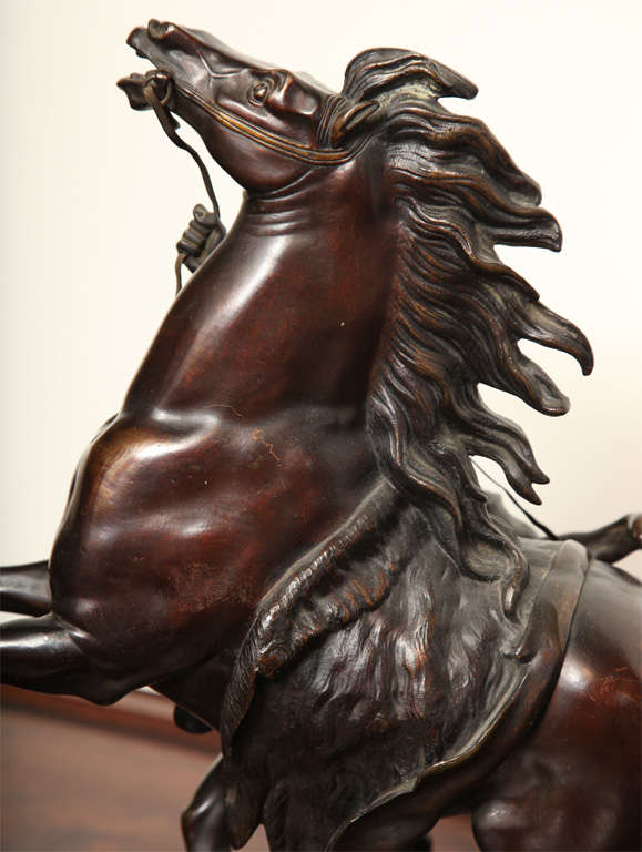 Two 19th Century Bronze Marly Horses For Sale 4