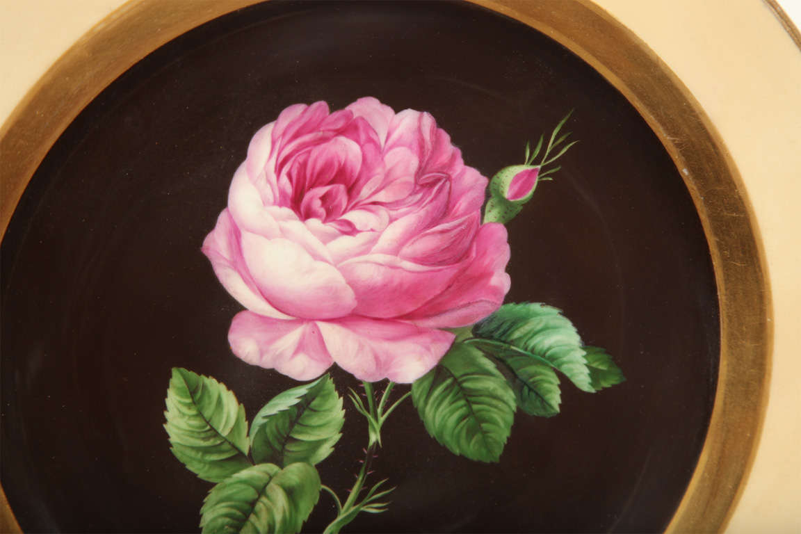 Two 19th Century Viennese Plates In Good Condition For Sale In New York, NY