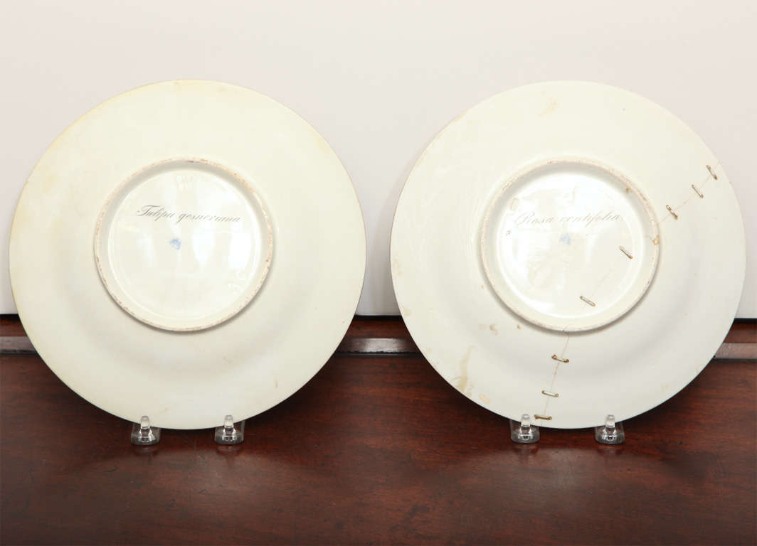 Two 19th Century Viennese Plates For Sale 1