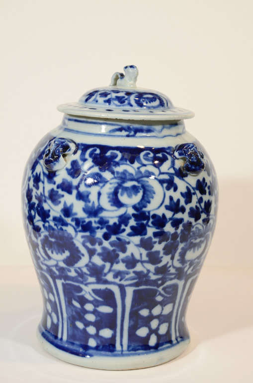 A pair of Chinese Blue and White ginger jars made in the late 19th century,  Qing Dynasty transitional Tongzhi-Guangxu period.  The jars are painted in a deep cobalt blue allover vine and leaf pattern. On the shoulders are four applied Taotie exotic