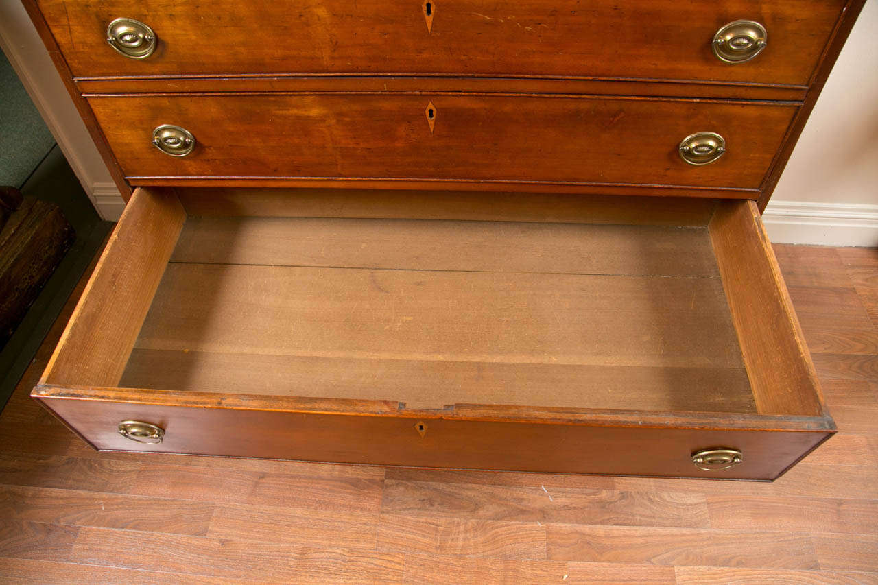 19th Century American Federal Period Chest For Sale