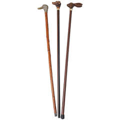 Antique Collection of Early 20th Century Canes