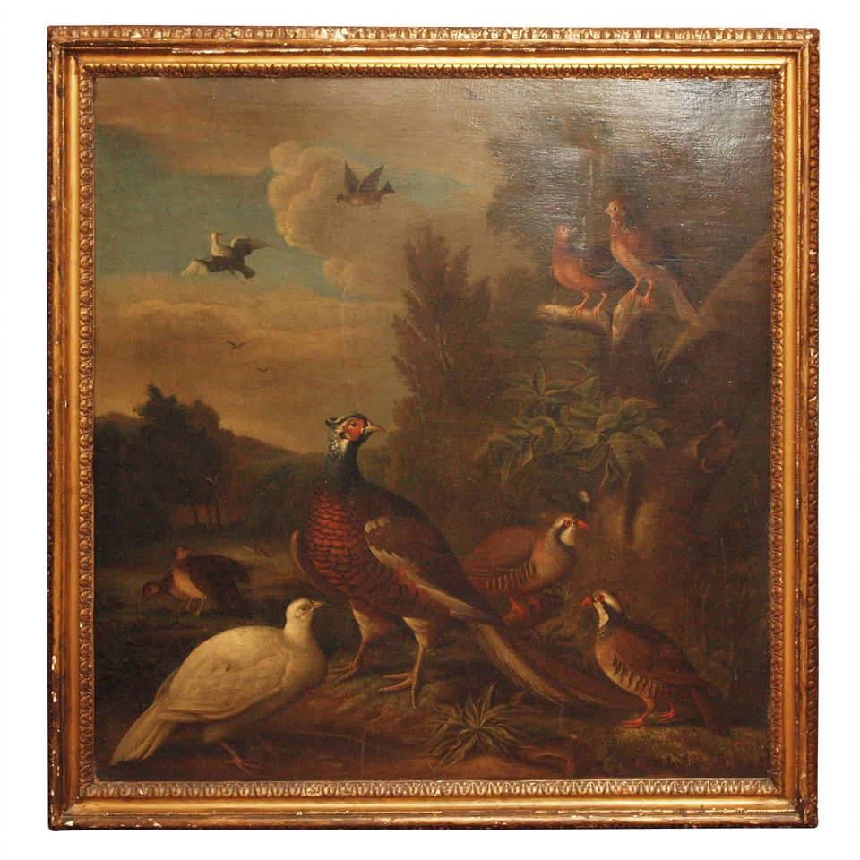 17th Century Oil on Canvas of Pheasants, dove and quail