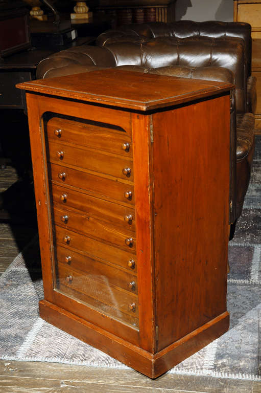 A Display Case with Glass Door, Circa 1860