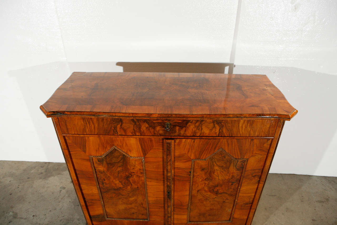 Austrian 19th Century Biedermeier Cabinet For Sale