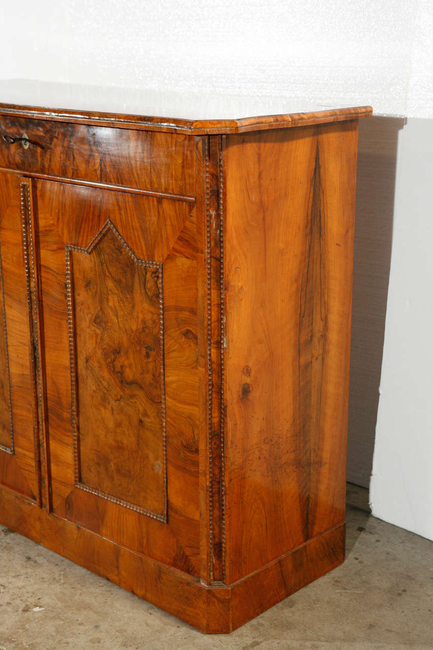 19th Century Biedermeier Cabinet For Sale 1