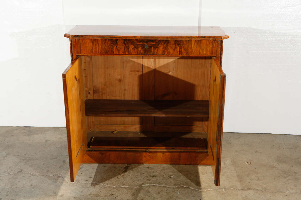 19th Century Biedermeier Cabinet For Sale 3