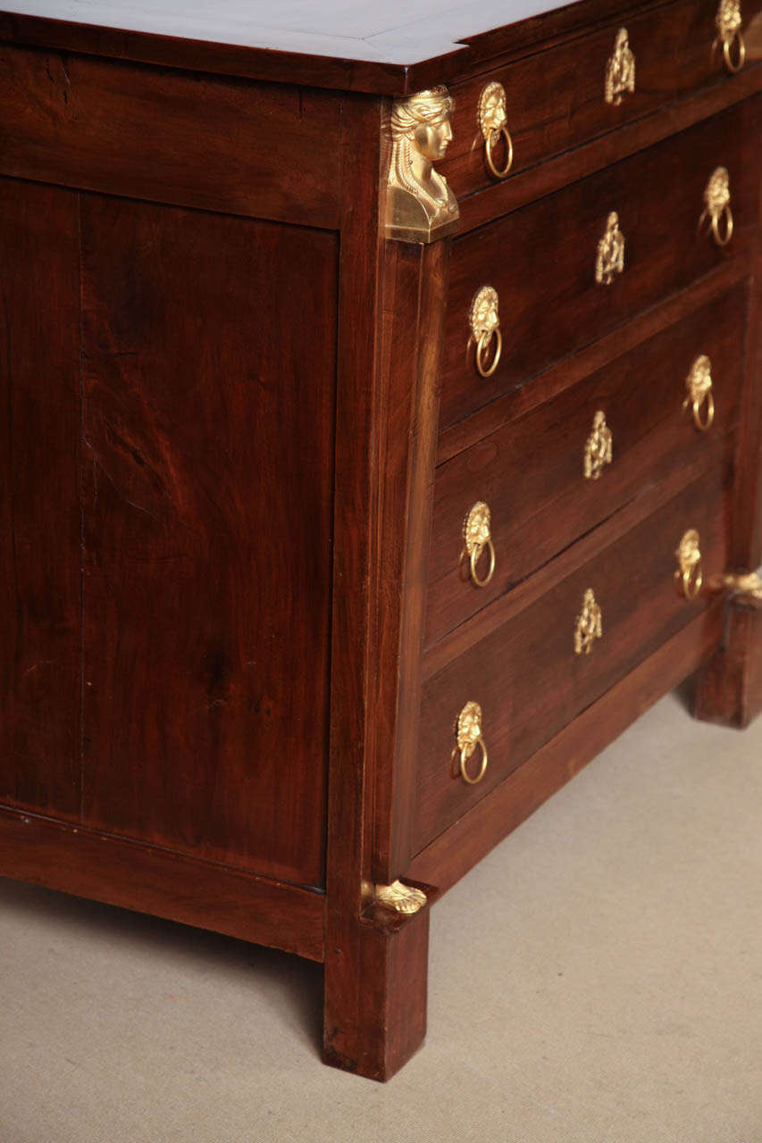 Early 19th Century Mahogany and Gilt Bronze Mounted Danish Empire Chest For Sale 6