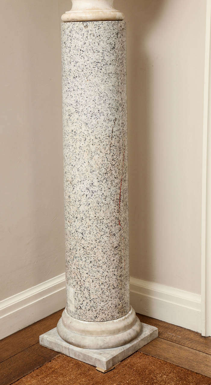 20th Century  Granite Column on Marble Base For Sale