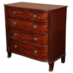 19th Century English Regency Mahogany Chest