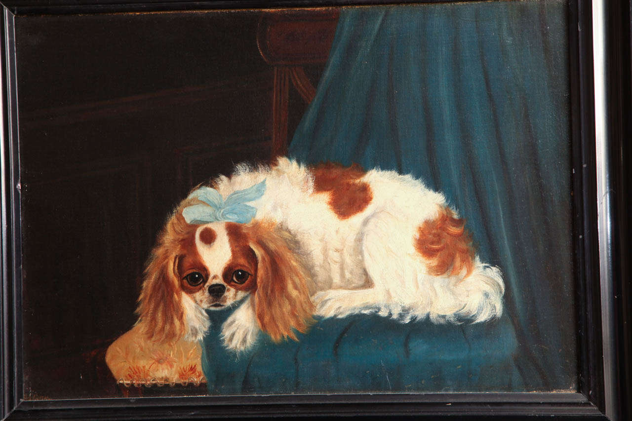 19th Century English Oil of a King Charles In Good Condition For Sale In New York, NY