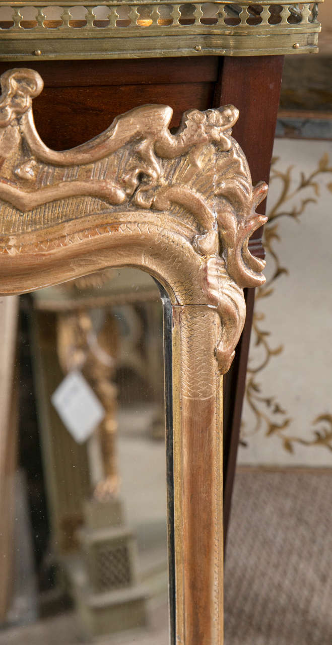 French Pair of 19th Century Rococo Carved Wall Mirrors