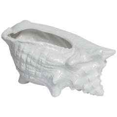 Large Conch Shell Planter