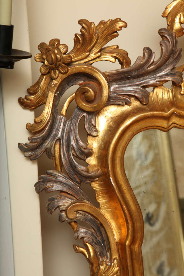 Giltwood Rococco style mirror  In Excellent Condition In New York, NY