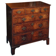 19th Century Antique English Burled Walnut Chest of Drawers