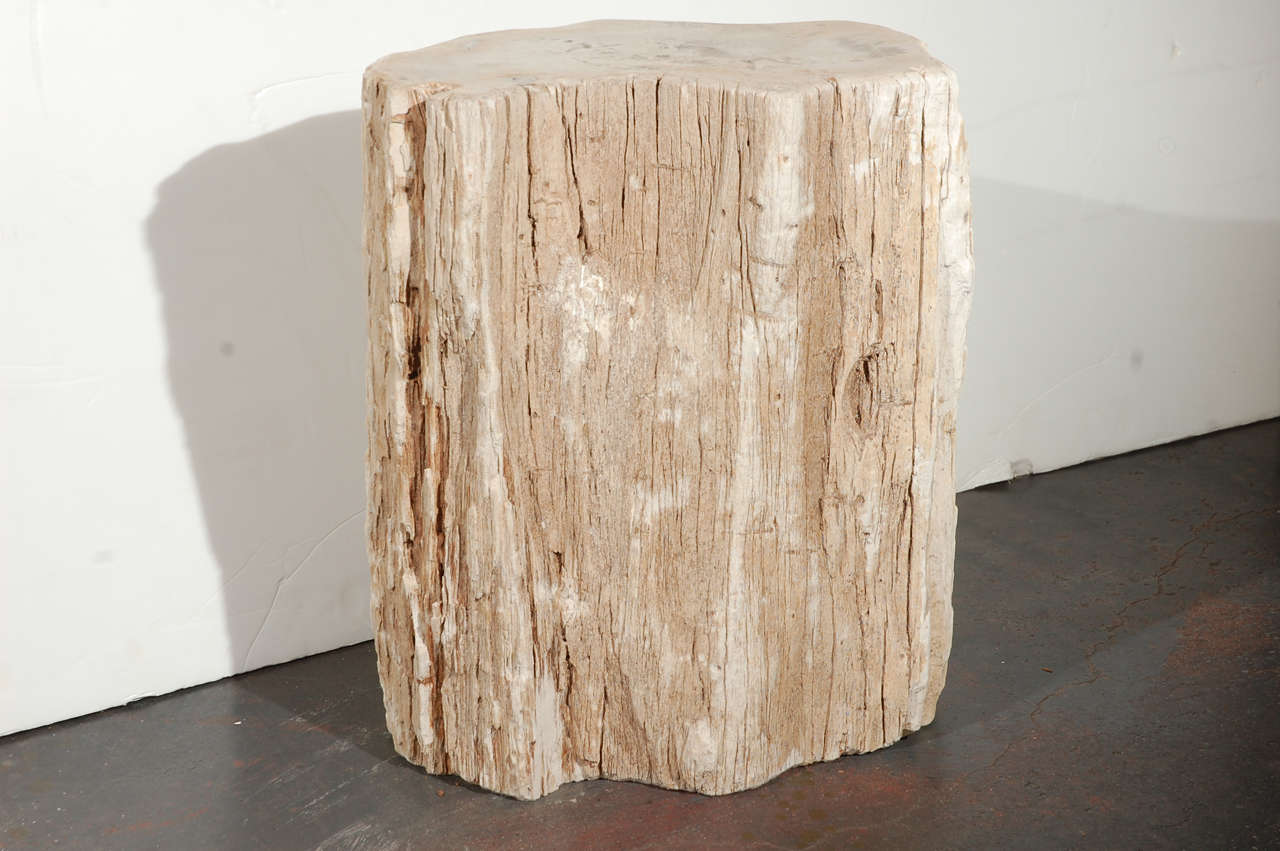 A wonderful petrified wood table. This was hand polished in the 1980's but the wood is thousands of years old. Nice, light earth tones. Top and bottom are polished. Sides are left natural.