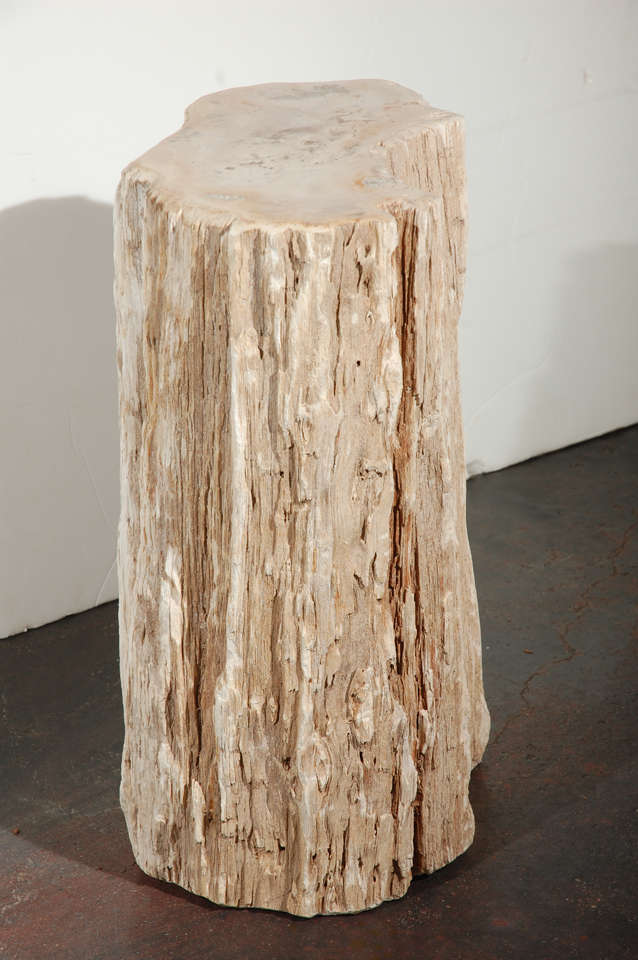 20th Century Petrified Wood Table