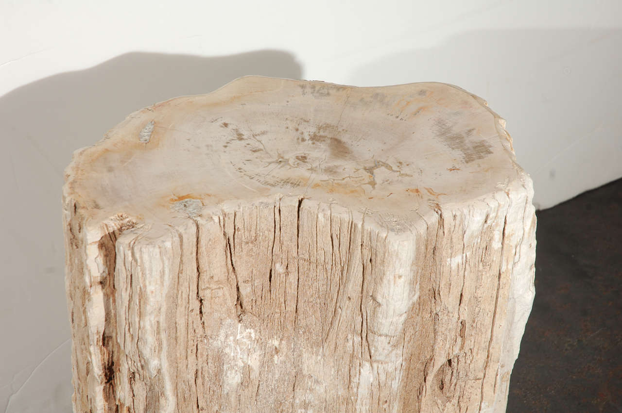 Petrified Wood Table at 1stDibs