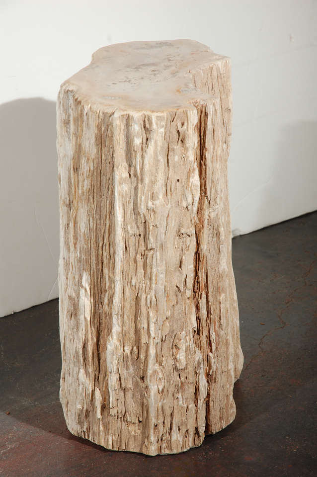 Petrified Wood Table at 1stDibs