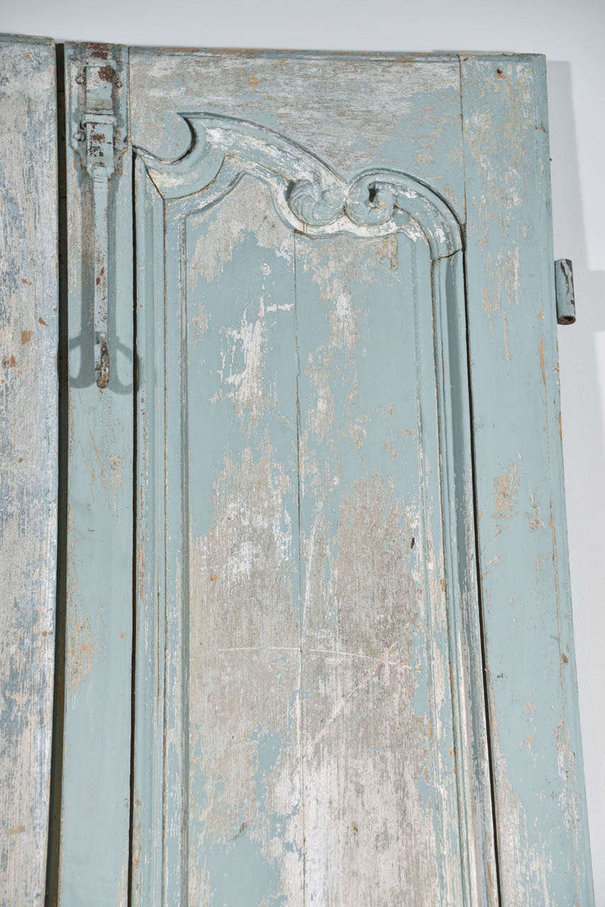 Pair of French 19th Century Doors from France 3