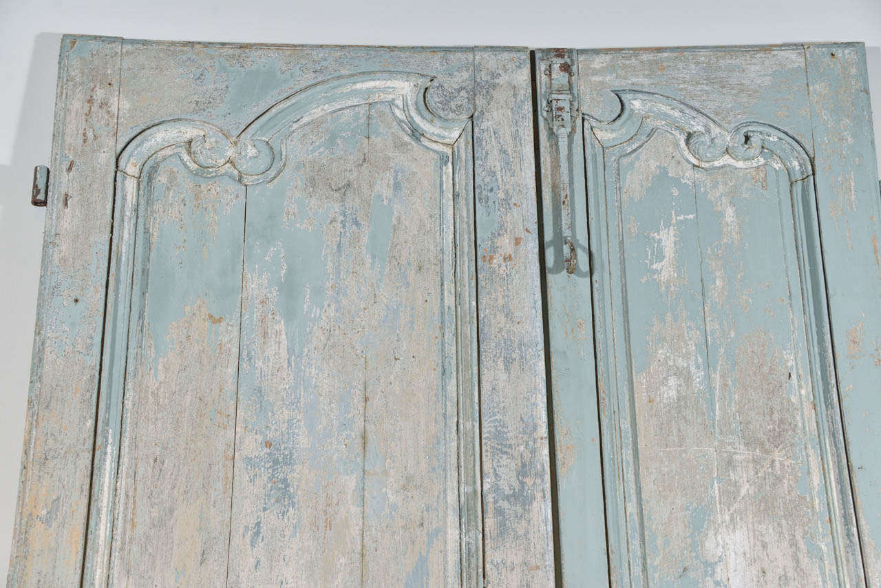 Pair of French 19th Century Doors from France 4