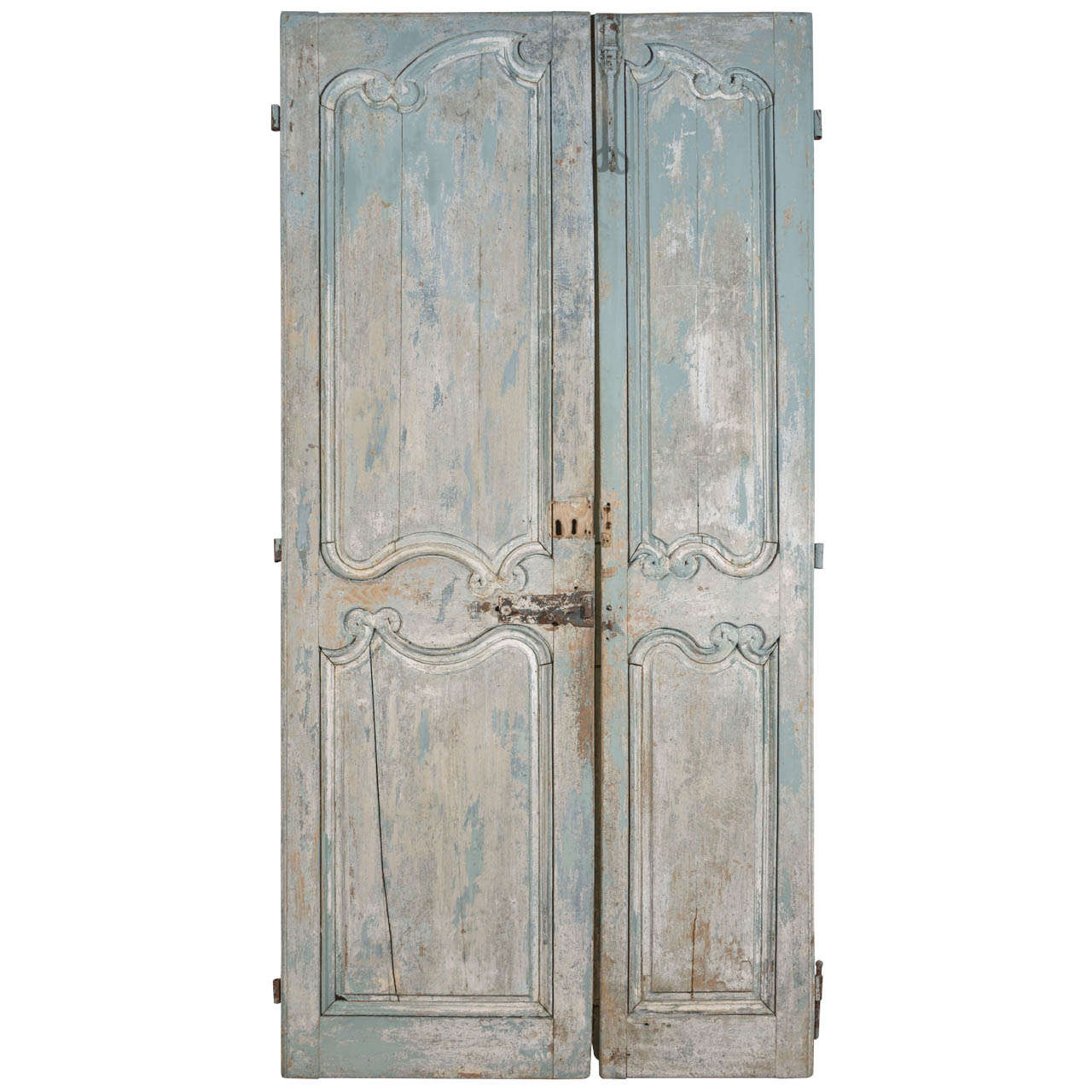 Pair of French 19th Century Doors from France