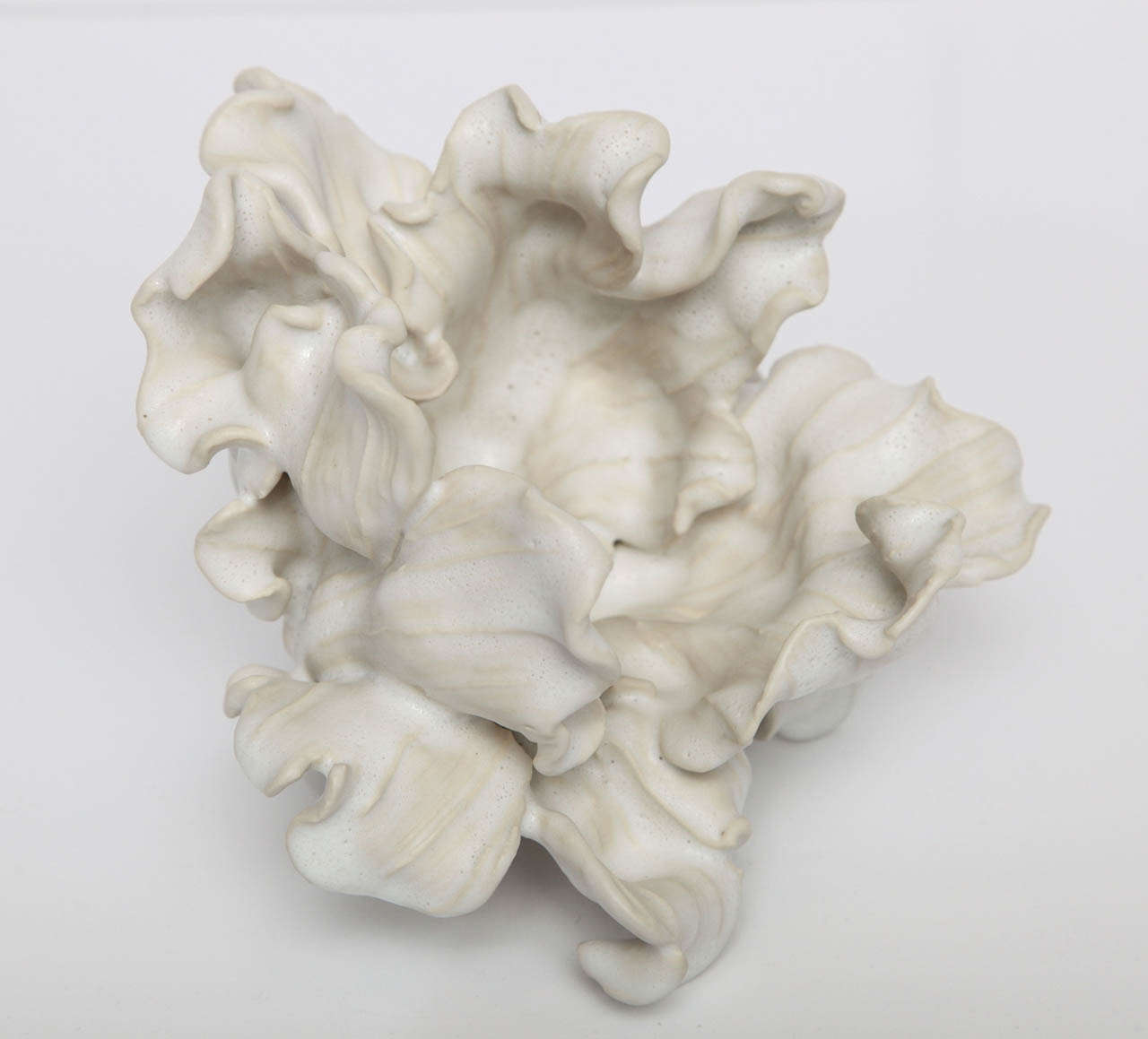 Porcelain Unique Contemporary Ceramic Tulip by Matthew Solomon