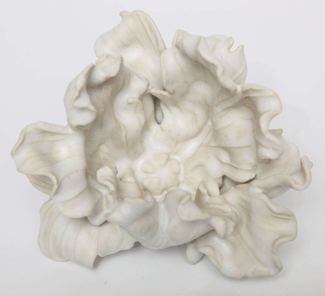 Unique Contemporary Ceramic Tulip by Matthew Solomon 2