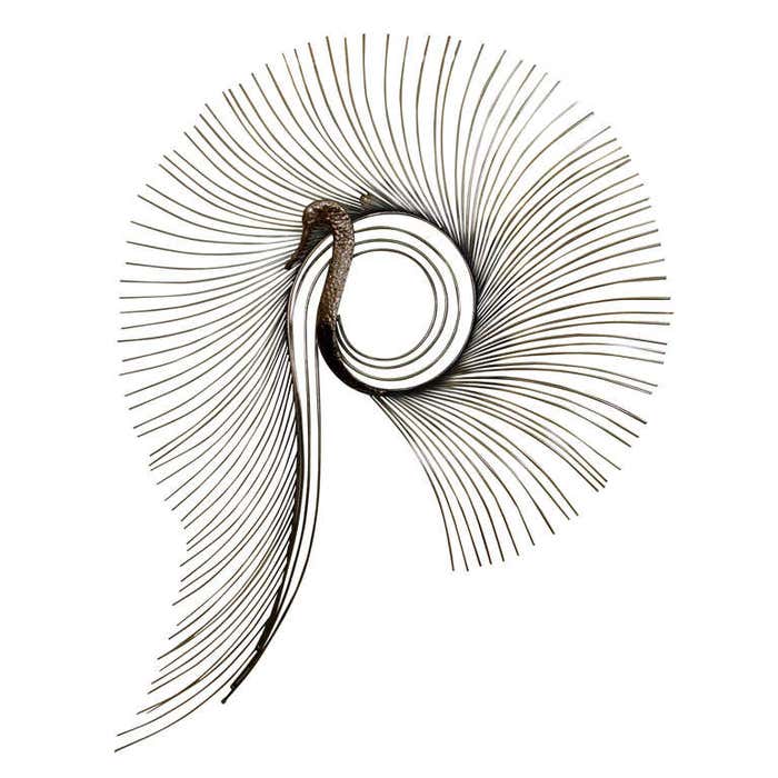 Curtis Jere Curved Brass Peacock Wall Sculpture at 1stDibs | curtis ...