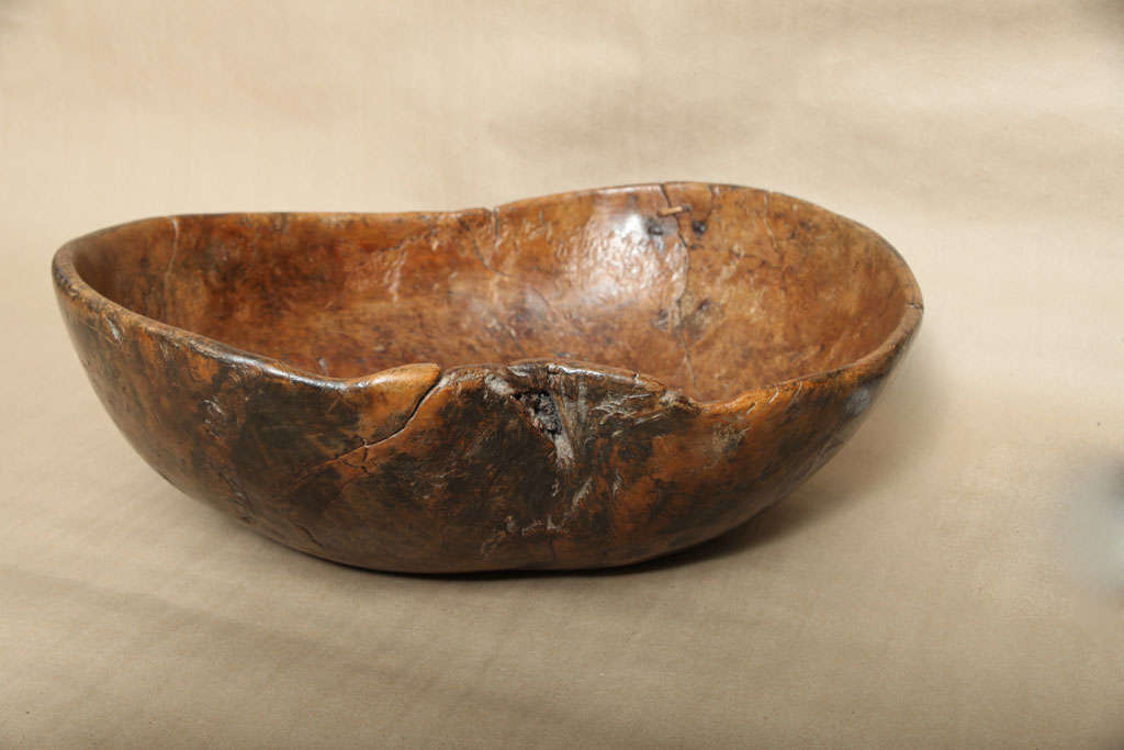 Fantastic Swedish Burl Ale Bowl