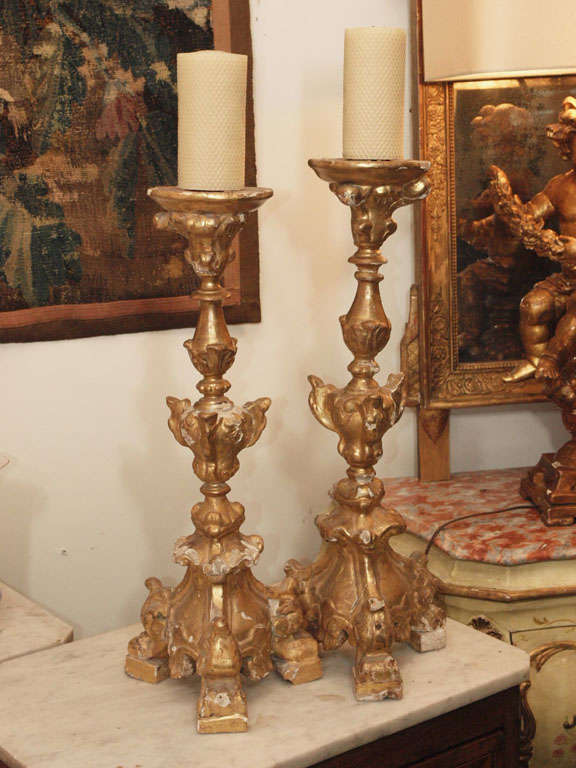 Exceptional carved gilt wood pricket sticks.