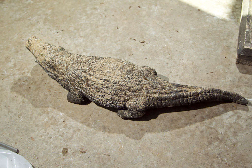 Cast Stone Crocodile Garden Statue 3
