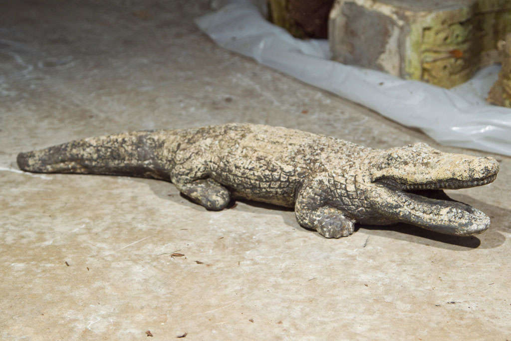 This guy is a terrificly authentic, but not too fierce, cast stone crocodile with traces of black paint that only add to its lichened, weathered patina.  Place him by a naturalized pond or peeking out from underneath your grasses to lend a whimsical