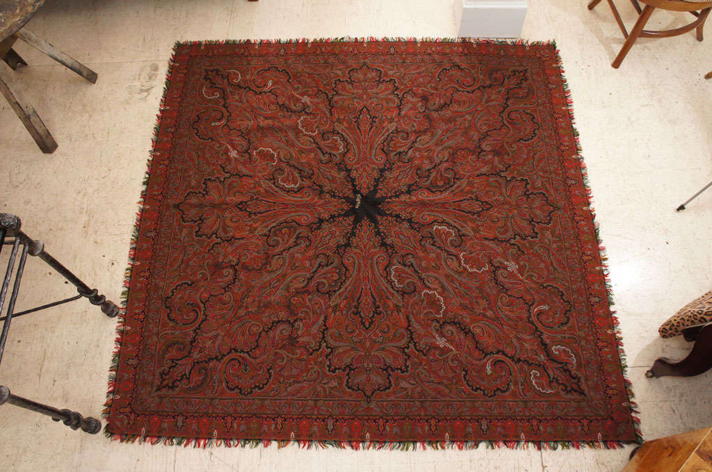 Kashmiri Wool Paisley Shawl