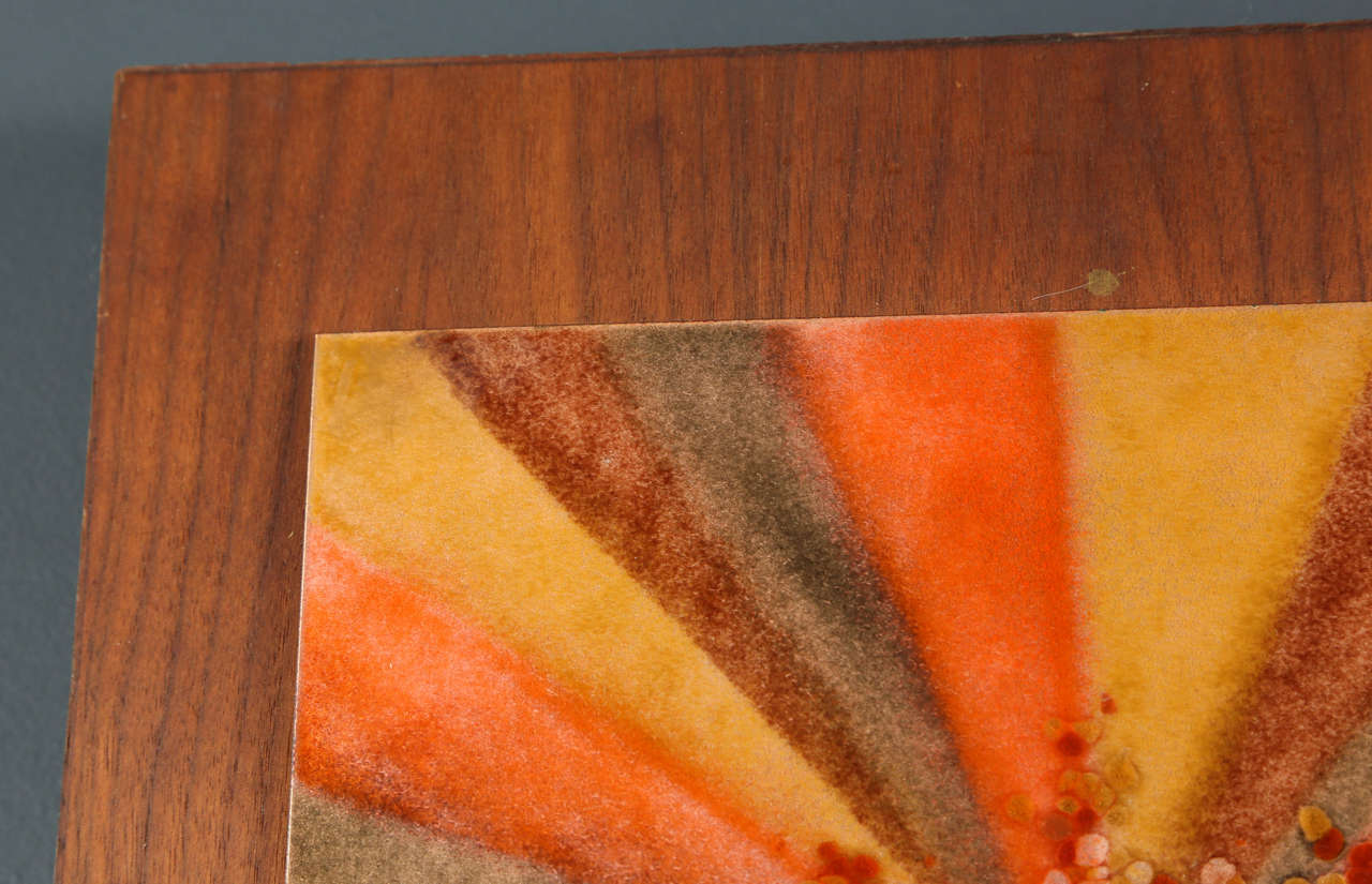 Mid-Century Resin Panels For Sale 5
