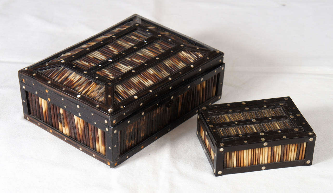 Anglo-India Porcupine Quill Boxes