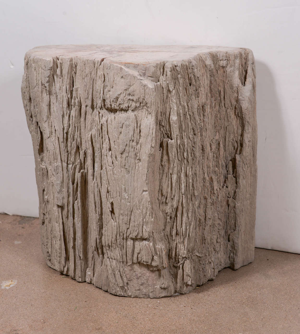 Petrified Trunk End Table