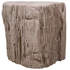 Petrified Trunk End Table