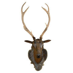 18th Century Belgian Deer Head