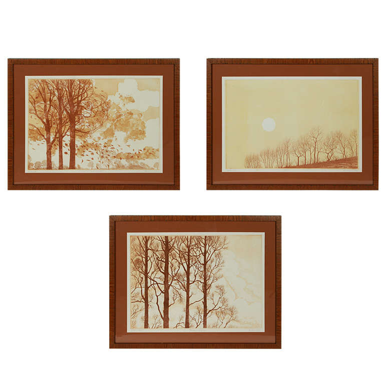 Framed Tree Etchings