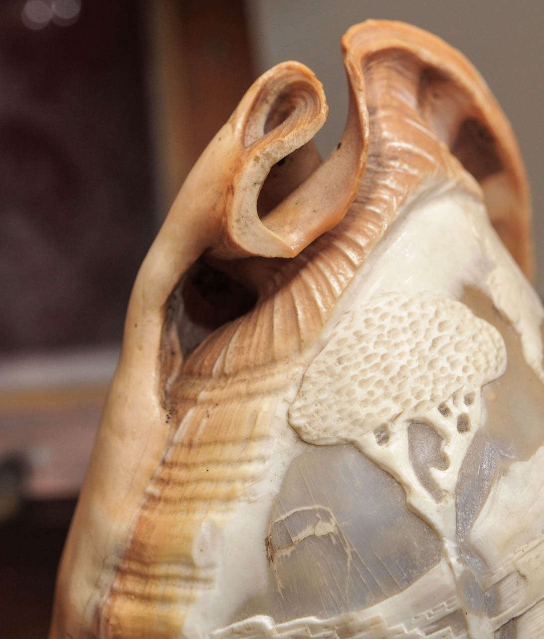 Carved Conch Shell Mounted as a Light In Good Condition In New Orleans, LA