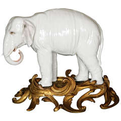 A Large Porcelain Elephant in a Gilt Rococo Ormolu Base