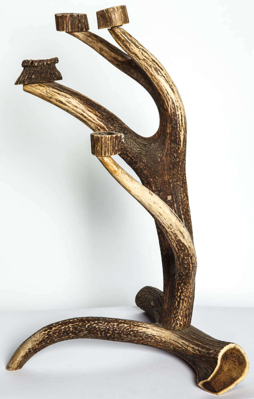 Early 20th Century Four Arms Horn Austrian Candleholder, 1900s In Good Condition For Sale In Milan, IT