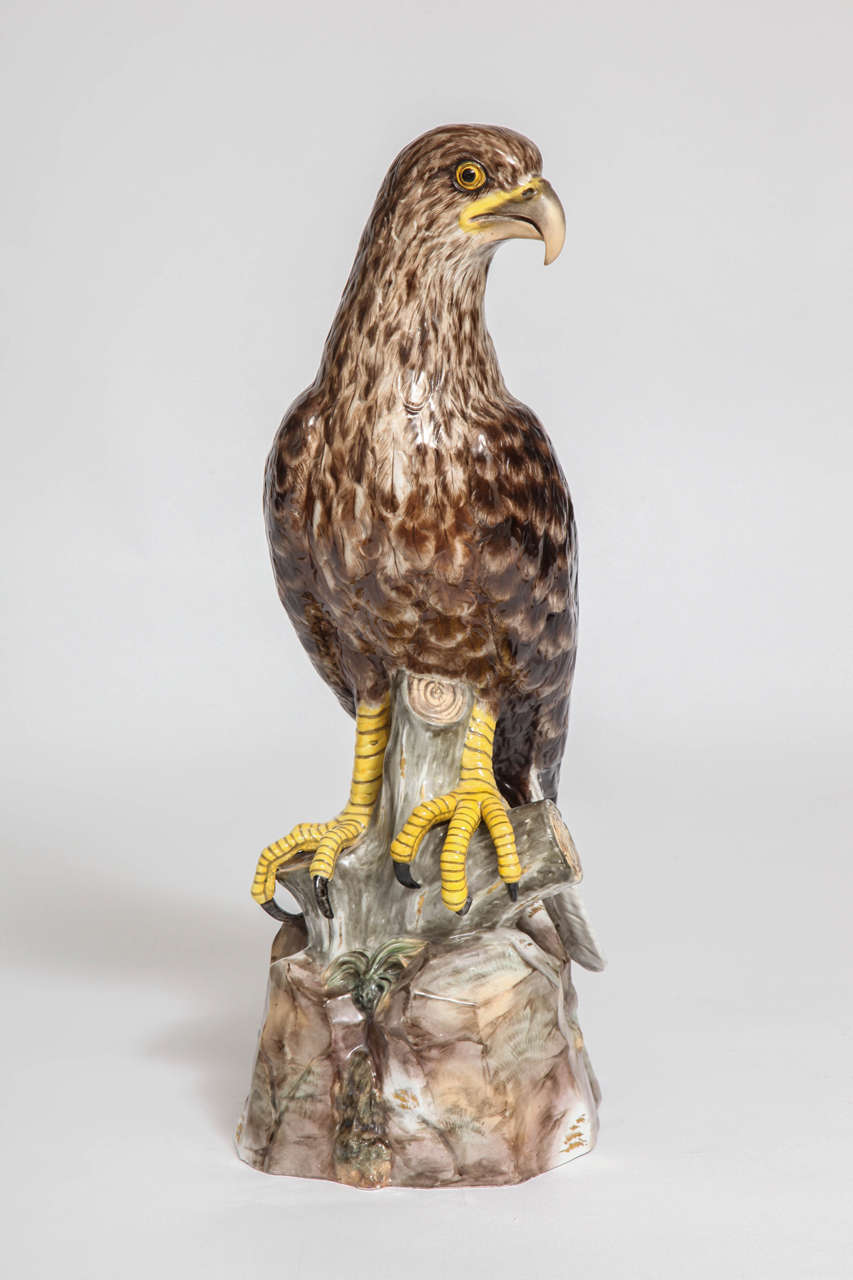 Ein sehr großes, beeindruckendes und seltenes Meissener Porzellanmodell eines Adlers, um 1880. Sie wird fein graviert und dann von Hand bemalt, um Textur und realistische Farbgebung zu erzeugen. Naturgetreu modelliert, auf einem Baumstumpf und einem