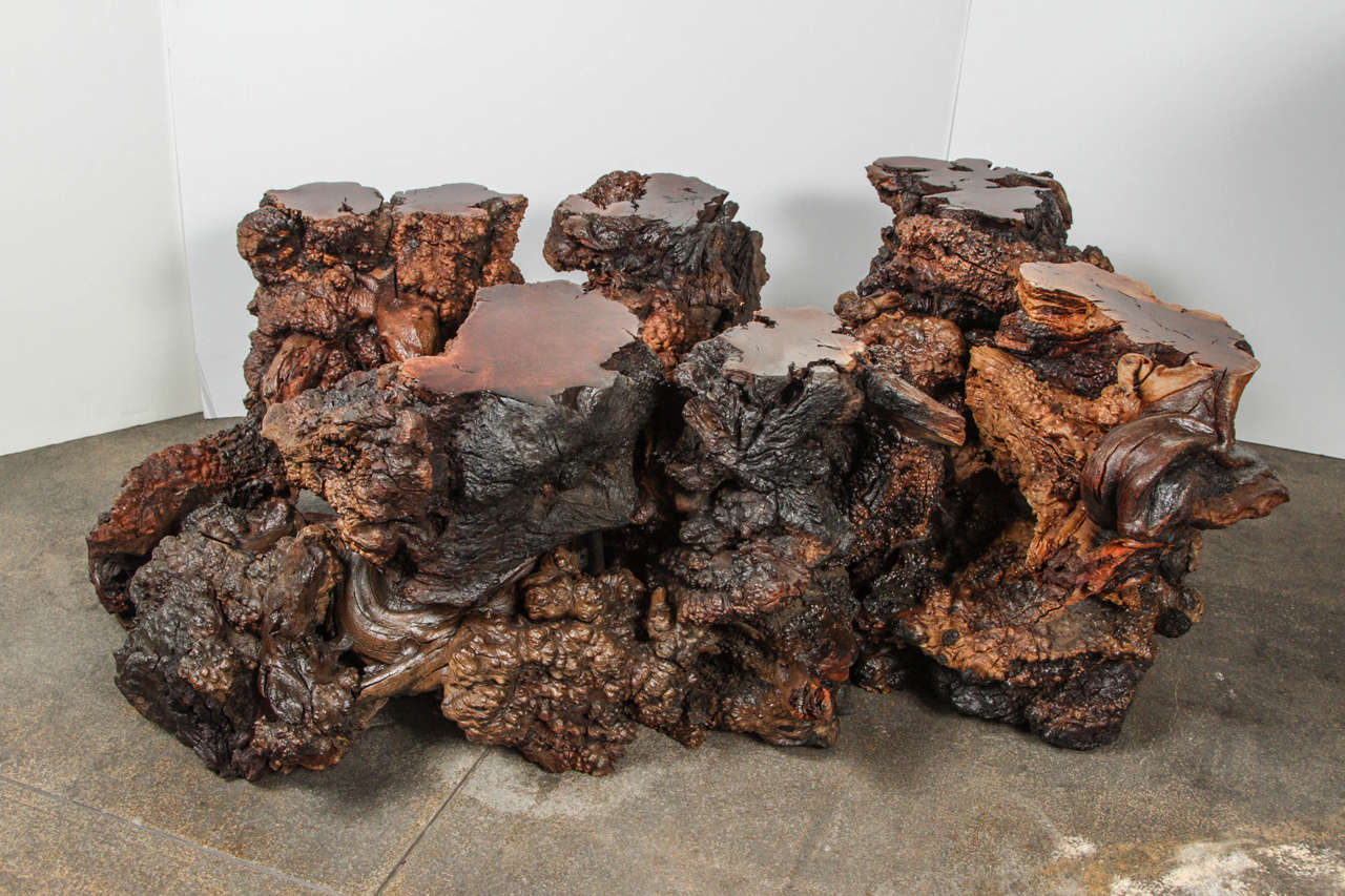 Beautiful organic burled root table base with polished and leveled areas that would support a glass top (not included)