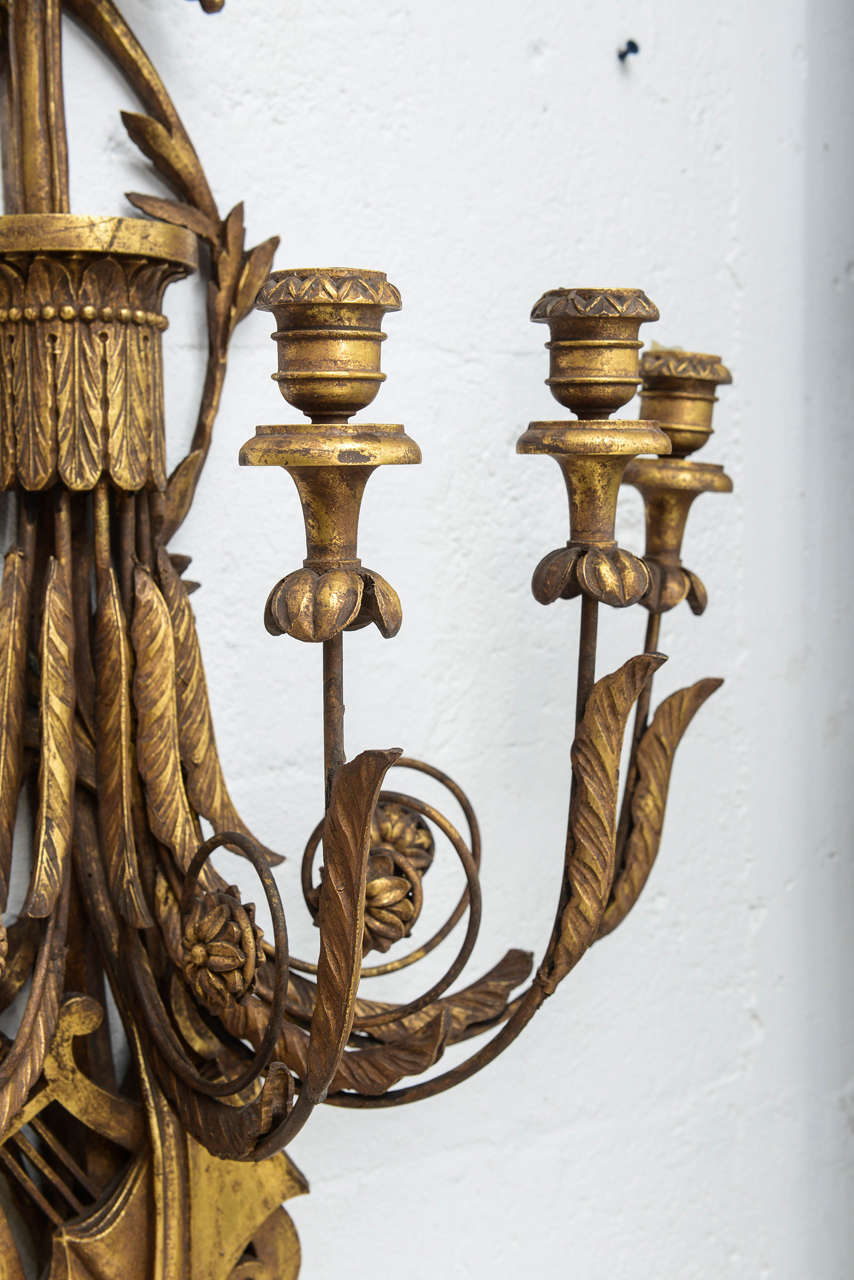 Spectacular Pair of Oversized Giltwood Sconces Ornately Carved with the Arts 3