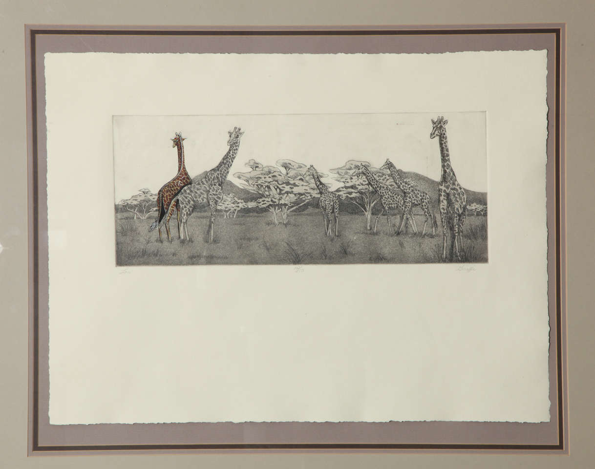 Engraving signed by Lori  depicting giraffe numbered 25/50
Framed 
the print itself measures 25,50 wide by 18 tall
