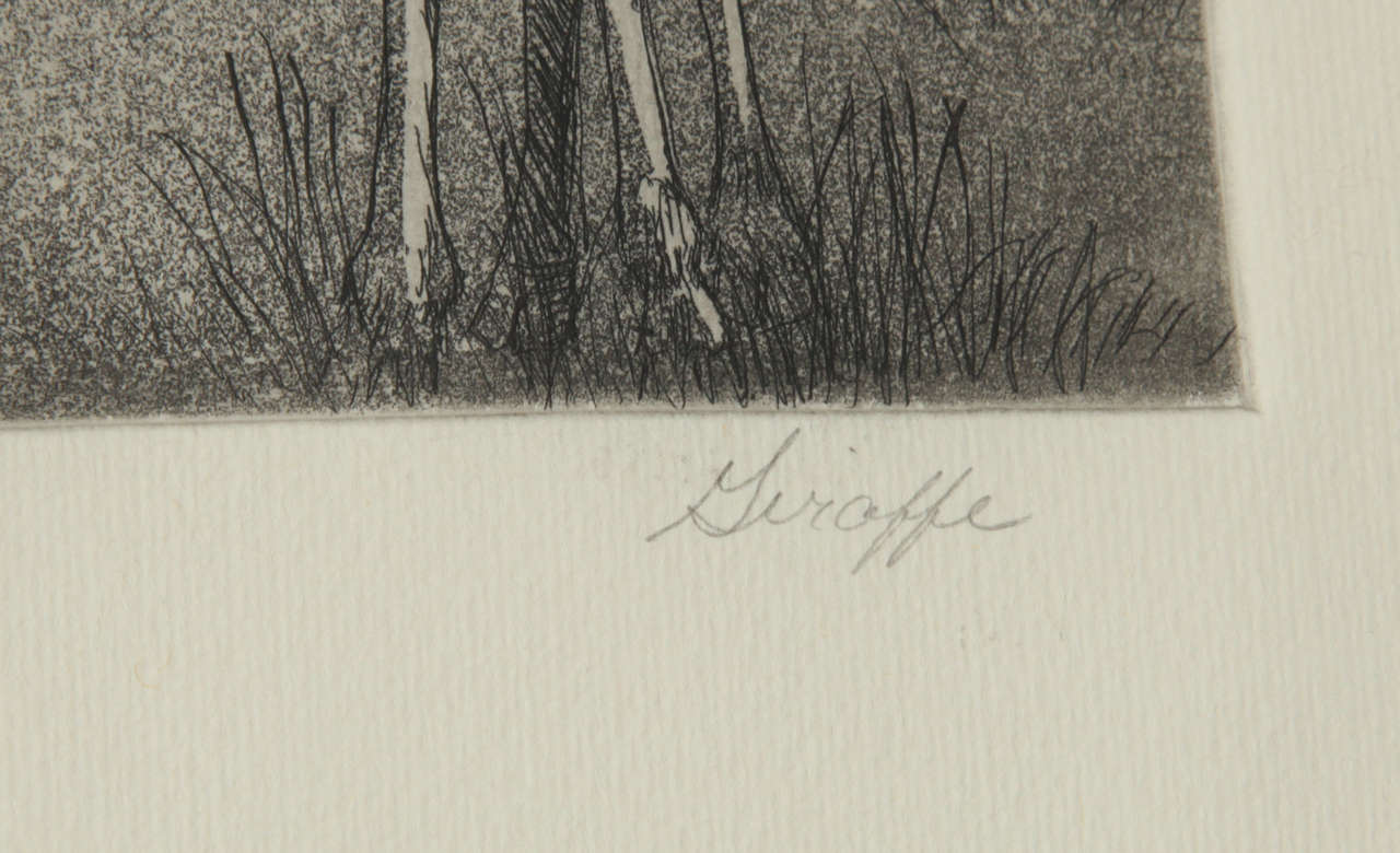 Giraffe 3
